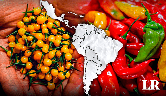 El Guinness World Records destacó a un ají como el más picante del mundo; sin embargo, dicho alimento no se ubica en México ni en Perú. Foto: composición LR/Freepik/Andina