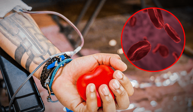 La sangre de tipo O es considerada la sangre universal por los médicos especializados en transfusión de sangre. Foto: composición LR / Pixabay
