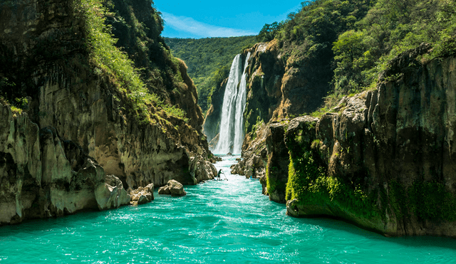 Esta cascada es la más grande de la región de San Luis Potosí. Foto: Huasteca Secreta