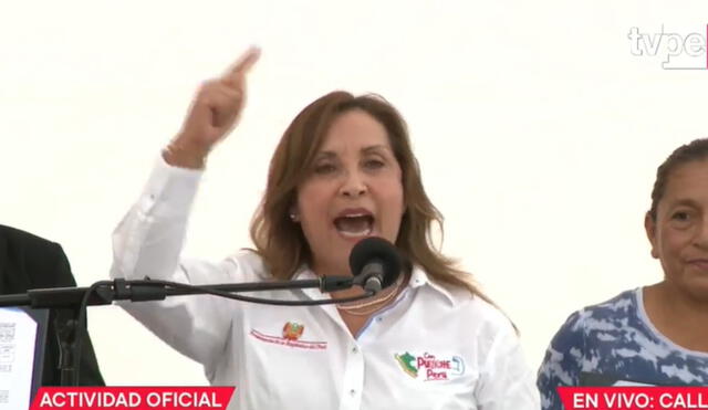 Dina Boluarte descartó renunciar a su cargo ante los cuestionamientos que recaen en su contra. Foto: captura TV Perú.