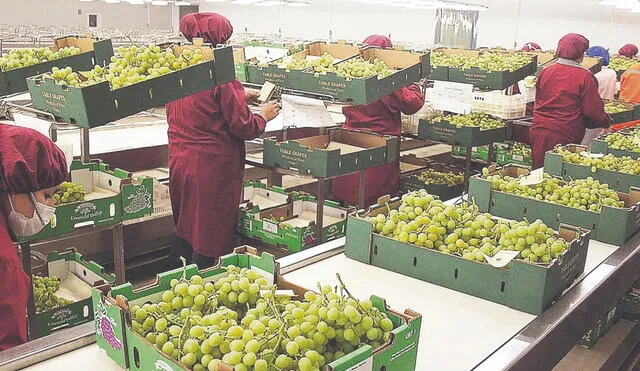 Laboratorio. En el Perú, actualmente ya se importan y consumen transgénicos, pero su cultivo está prohibido por la Ley 31111. Foto: difusión