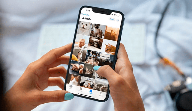 Revisa tu app de Fotos para asegurarte de que no reaparecieron imágenes eliminadas. Foto: MakeUseOf