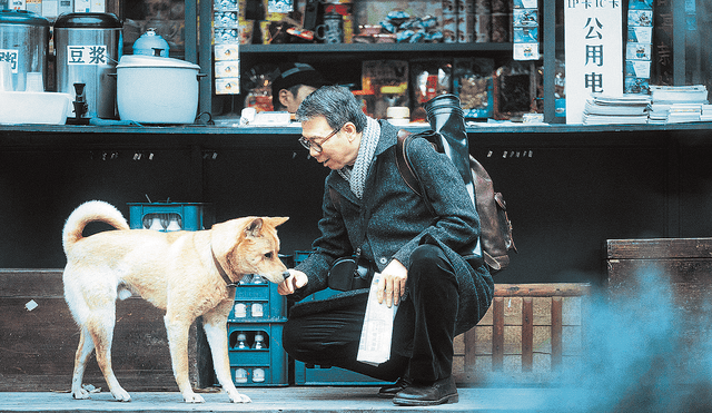 Hachiko 2, película protagonizada por Bai Ju-Gang, ha generado buenas críticas. Llega a los cines el 30 de mayo. Foto: difusión.