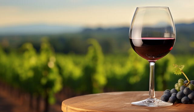 El vino de arándanos puede ser el próximo superalimento. Foto: Freepik