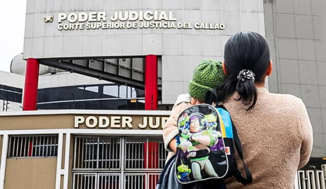 Poder Judicial anuncia que se podrá retener dinero de las AFP de aquellos padres que cuenten con deuda alimentaria. Foto:  LR/El Peruano