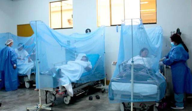 Minsa reporta más de 222.000 contagios por dengue a nivel nacional. Foto: Gobierno del Perú