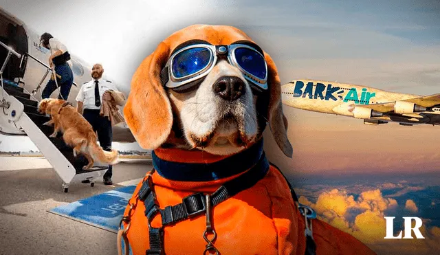 La aerolínea para mascotas ofertará vuelos exclusivos. Foto: Composición LR/ Bark Air Instagram