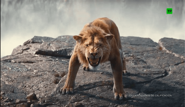 'Mufasa: el rey león' es la precuela del exitoso Live Action de 'El rey León' estrenada en 2019. Foto: Cultura Ocio.