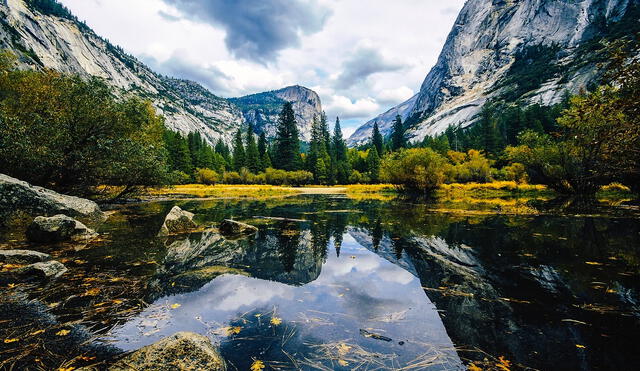 El parque nacional de Yosemite es conocido por sus secuoyas gigantes antiguas y por Tunnel View, la vista icónica del alto salto Bridalveil. Foto: Pixabay
