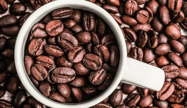 Este país tiene las condiciones ideales para el cultivo de café a gran escala. Foto: Blog Agricultura