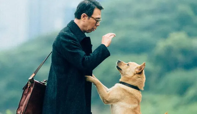 La historia de amor de un perro hacia su amo se volverá a ver en la pantalla grande en ‘Hachiko 2’. Foto: iQIYI Pictures
