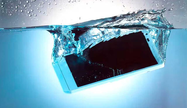 Algunos celulares si pueden usarse bajo el agua, tienen que tener certificación IP 69. Foto: TN