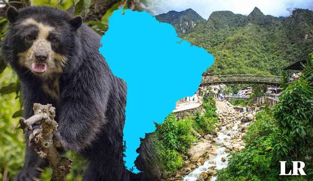 La implementación de una serie de medidas en esta antigua ciudadela inca ha convertido en este destino en el centro de la lucha por la neutralidad climática. Foto: composición LR/Andina