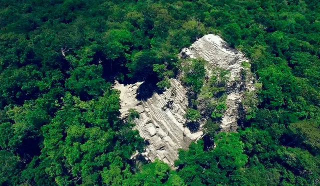 La pirámide más alta del mundo se encuentra en América Latina y está en proceso de recuperación. Foto: Tikal Expedition