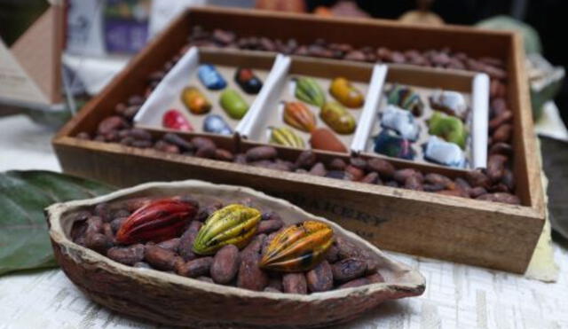 Exportaciones peruanas de cacao hacia Suiza se han triplicado en los últimos cinco años. Foto: Andina
