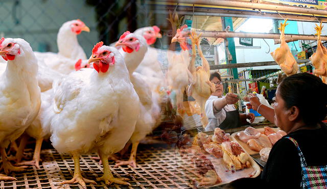 Precio del kilo de pollo disminuye. ¡Toma nota! Foto: Composición LR/Andina