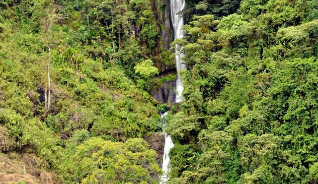 El camino a Chorro Blanco ofrece a los visitantes una oportunidad única para disfrutar de una diversidad de paisajes naturales, como el cañón de San Juan y los Farallones del Citará. Foto: Triviantes