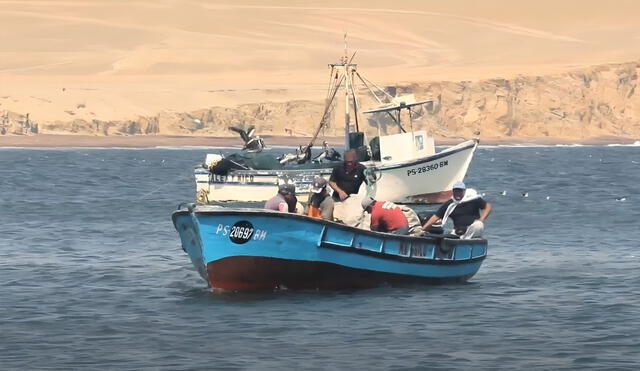 Exministros y exviceministros demandan al Poder Judicial rechazar el pedido de la SNP para extraer especies marinas en la Reserva Nacional de Paracas.