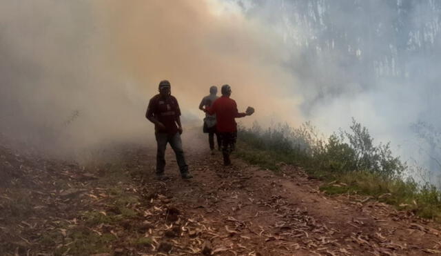 Temporada de Incendios en la sierra y selva del Perú culminará en noviembre. Foto: Andina