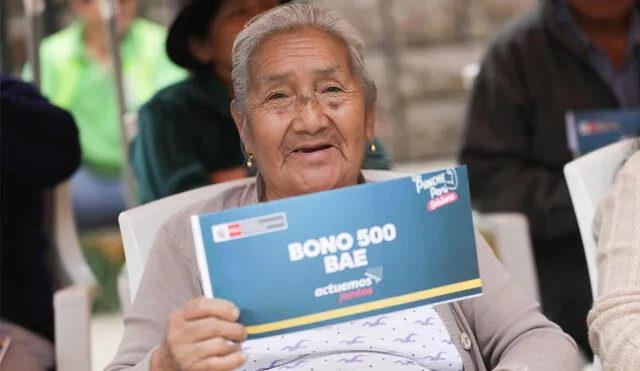 En Lima, el bono de S/500 se entregará a las familias cuyas casas quedaron inhabitables en Villa María del Triunfo y Pachacámac. Foto: Andina