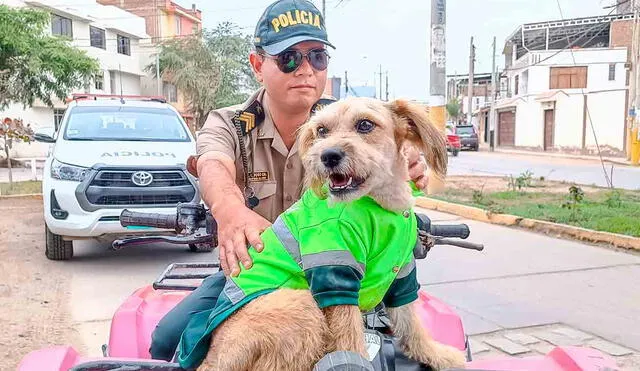 'Barba', el perro policía conquistó el cariño de los oficiales, quienes se encargaron de su cuidado y alimentación. Foto: Emmanuel Moreno