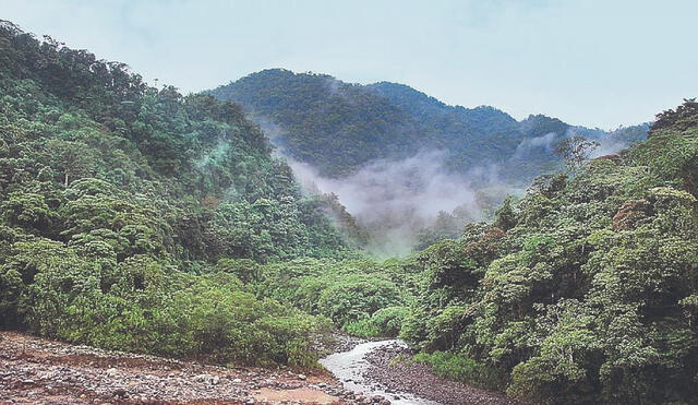 Expectativas. La reducción de la deforestación permitiría el desarrollo del ecoturismo. Foto: difusión