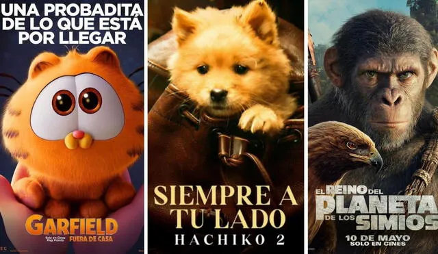 'Hachiko 2: siempre a tu lado': la película se estrenó el 30 de mayor en Perú. Foto: composición LR/ MUBI