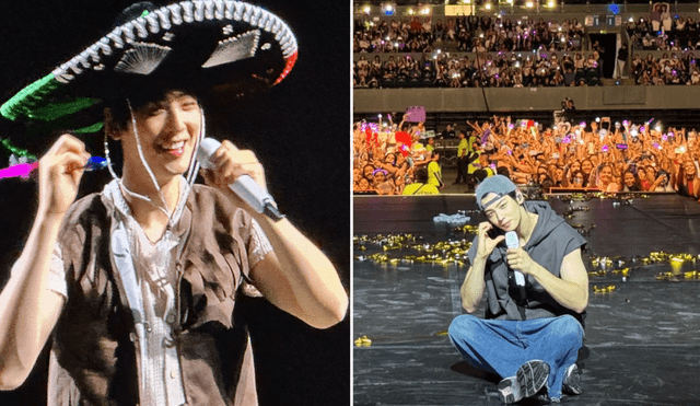 Cha Eun Woo brindó 2 conciertos en México como parte de su tour 'Mystery Elevator'. Foto: composición LR/X eunwootaev/Instragram/eunwoo Cha Eun Woo brindó 2 conciertos en México como parte de su tour 'Mystery Elevator'. Foto: composición LR/X eunwootaev/Instragram/eunwoo