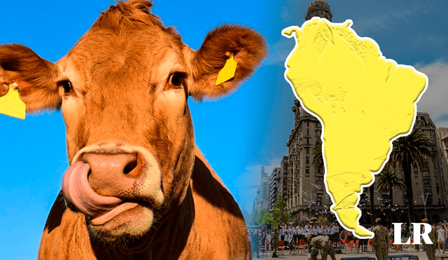 Este país sudamericano también es el que tiene más vacas por habitante en el mundo. Foto: composición LR / Pixabay / UN