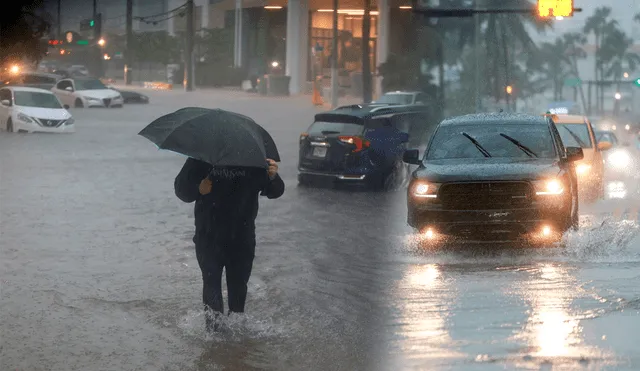 El estado de emergencia, decretado por el gobernador Ron DeSantis, aplica a los condados de Broward, Collier, Lee, Miami-Dade y Sarasota. Foto: composición LR/AFP