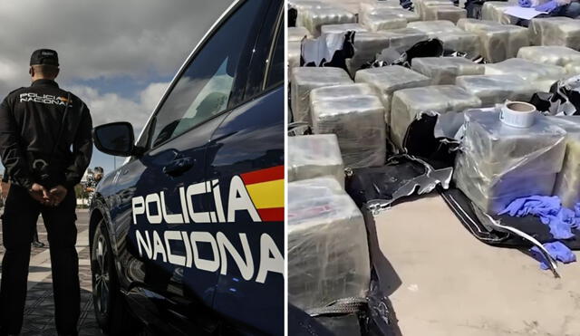 La operación Adriática, que ha durado más de cuatro años. Foto: Guardia Civil/X Video: rtve