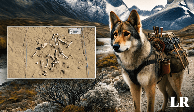 El perro de carga encontrado habitó en la Patagonia Central (imagen refencial). Foto: composición Fabrizio Oviedo LR/ IA / Conicet