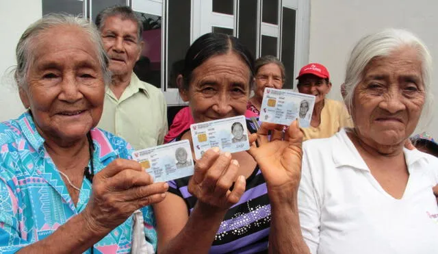 Entidad se encuentra realizando campañas para otorgar el tan necesario documento en diversas localidad del país. Foto: Andina