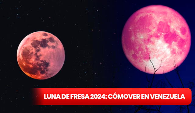 Mira las mejores imágenes y videos de la Luna de Fresa en Venezuela 2024. Foto: composición LR/Unsplash/Pixabay.