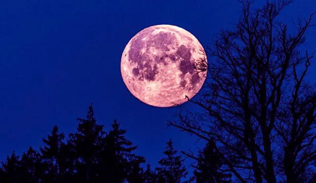 Al plenilunio de junio se le conoce como luna de fresa por una curiosa razón. Foto: Rainer Munzert