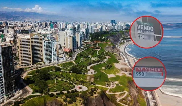 Los departamentos en venta o alquiler están conformados por áreas con vista al mar.