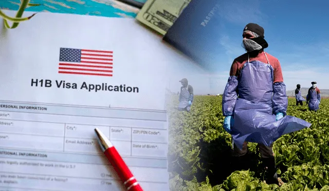 USCIS decretó que habría una serie de cambios en la postulación a la visa de trabajo tipo H-1B. Foto: composición LR/Freepik/Universo