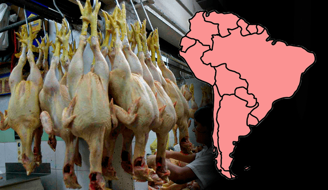 La carne de pollo es uno de los alimentos más nutritivos a nivel mundial. Foto: composición LR/Andina
