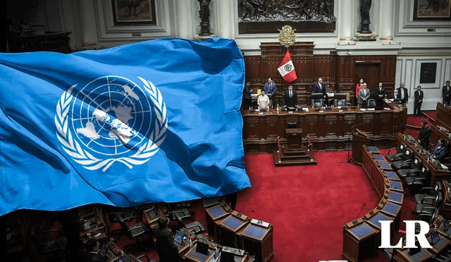 Cuatro relatores especiales de la ONU advierten que las modificaciones propuestas podrían afectar los derechos humanos.| Composición LR/Fabrizio Oviedo