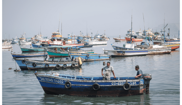 Produce tenia 60 días para reglamentar la ley a favor de pescadores, pero ha transcurrido casi un año y no cumple.