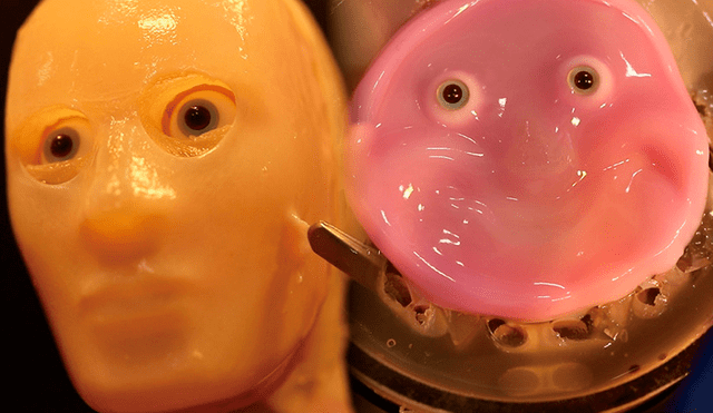 Con estas 'pieles vivas', los robots podrán sonreír como un humano. Foto: Cell Reports