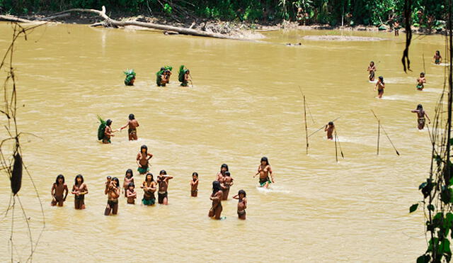 Los mashco piro son uno de los pueblos seminómades que vive en situación de aislamiento y contacto inicial. Foto: Servindi