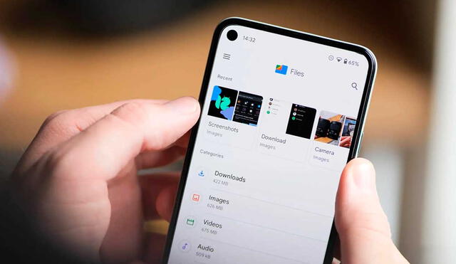 Si Google Files no vino preinstalada en tu teléfono, puedes bajarlo en Play Store. Foto: 9to5Google
