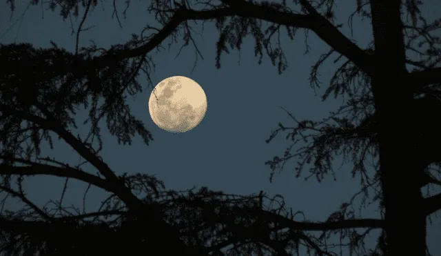 La luna llena en julio es conocida como luna de ciervo. Foto: Pablo Flores / Flickr