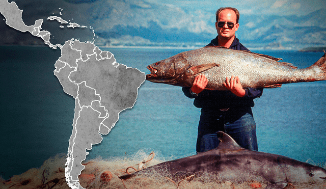 Este pez tiene una dieta carnívora y habita en México. Foto: composición Jazmin Ceras/LR/ Aquarium of the pacific