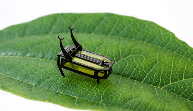 El MiniBug (mini bicho) es un microrobot de 8 miligramos con una longitud corporal de 8,5 mm que se arrastra sobre la tierra. Foto: WSU