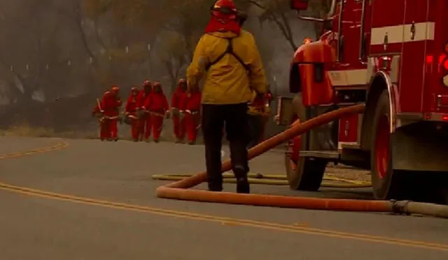 El gobernador de California, Gavin Newsom, declara el estado de emergencia mientras el servicio meteorológico emite alertas por la ola de calor que azota la región.  Foto: difusión