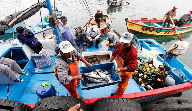 Los gremios de los pescadores artesanales se oponen a un reglamento que afecta sus actividades.