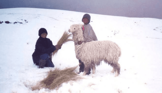 Temperaturas en regiones del Perú llegarían a los -17ºC. Foto: Difusión