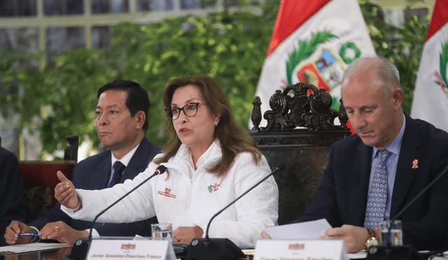 La mandataria tendrá que tomar una decisión frente a una norma que ha sido cuestionada desde su presentación en el Congreso. Foto: Presidencia del Perú.